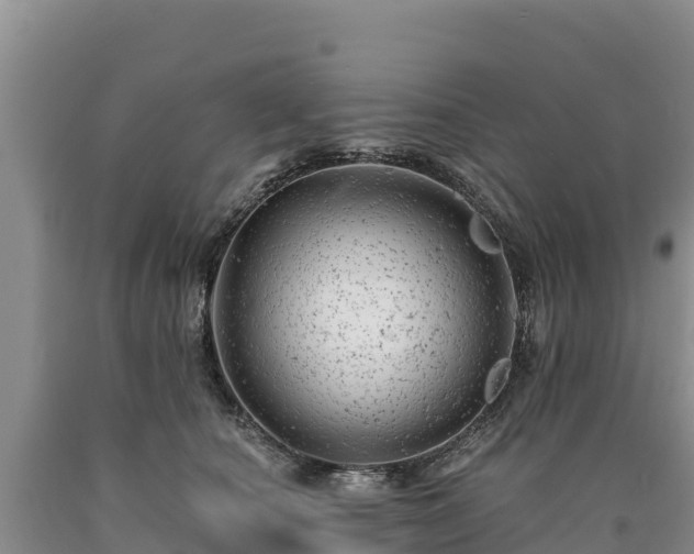 X0000090630660200707241154