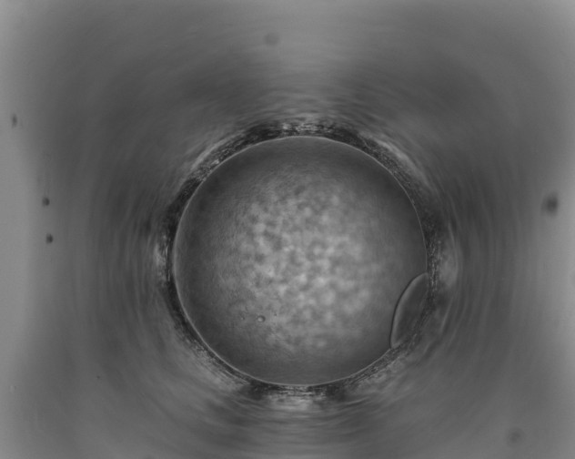 X0000090630661200707241154