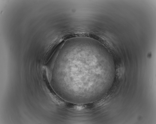 X0000090630662200707241154