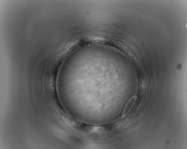 X0000090630663200707241154