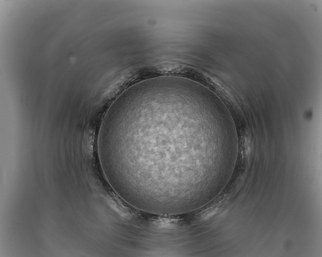 X0000090630664200707241154