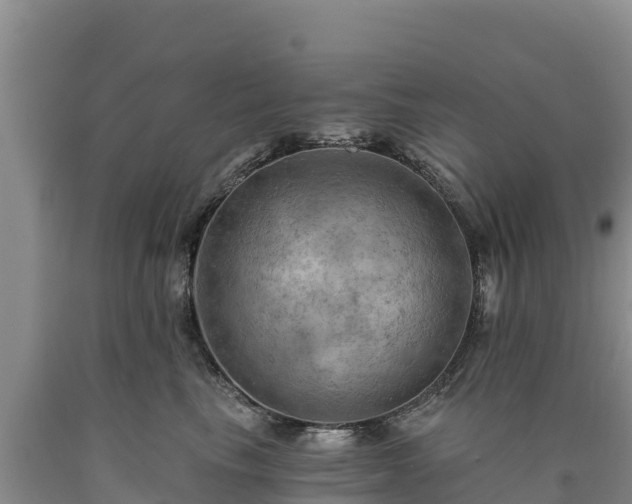 X0000090630665200707241154