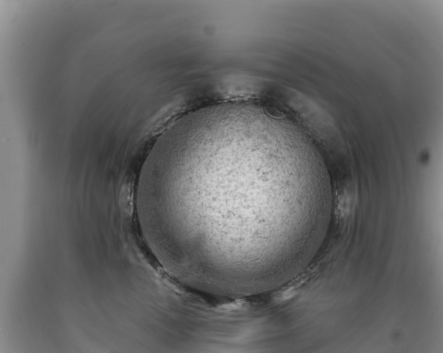 X0000090630666200707241154