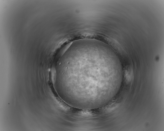 X0000090630668200707241154
