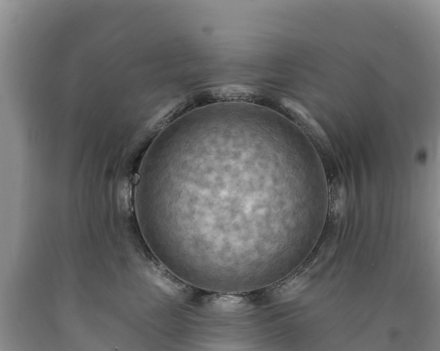 X0000090630669200707241154