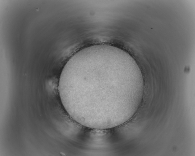 X0000090630672200707241154