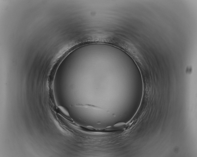 X0000090630674200707241153