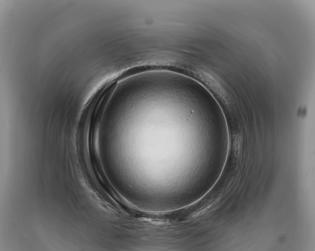 X0000090630676200707241153