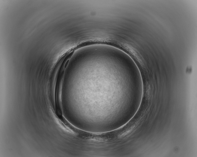 X0000090630677200707241153