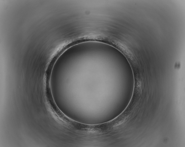 X0000090630678200707241153
