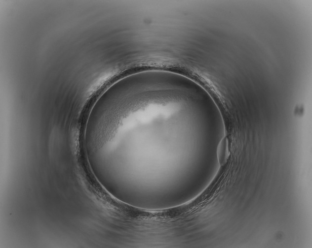 X0000090630679200707241153