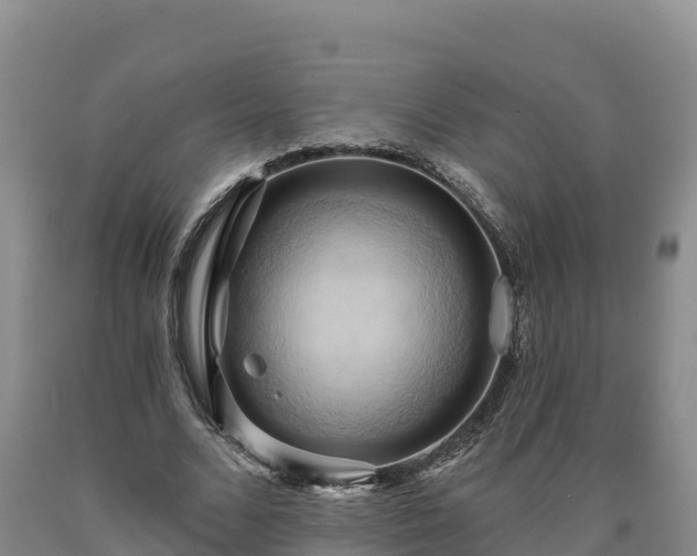 X0000090630680200707241153