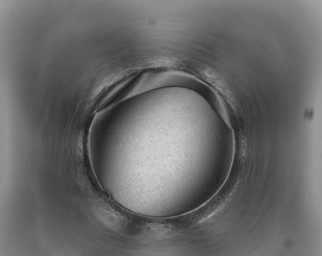 X0000090630681200707241153