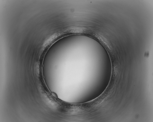 X0000090630682200707241153