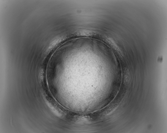 X0000090630683200707241153
