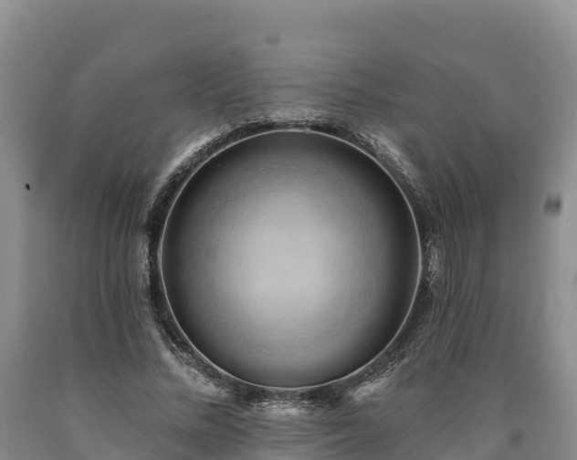X0000090630684200707241153