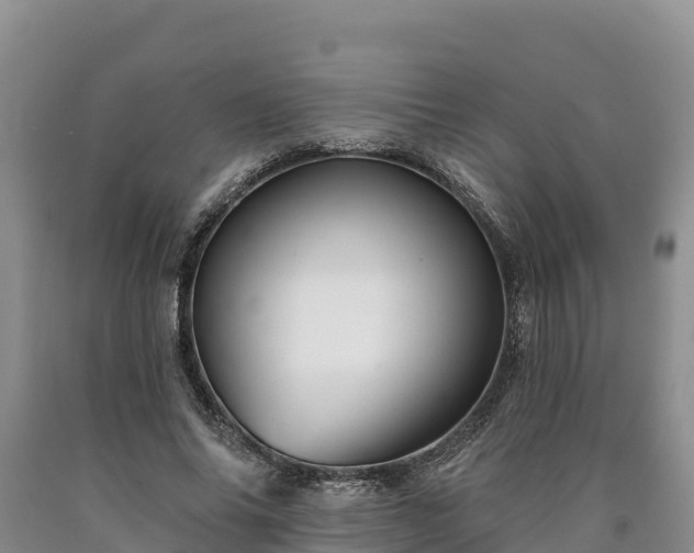 X0000090630686200707241153