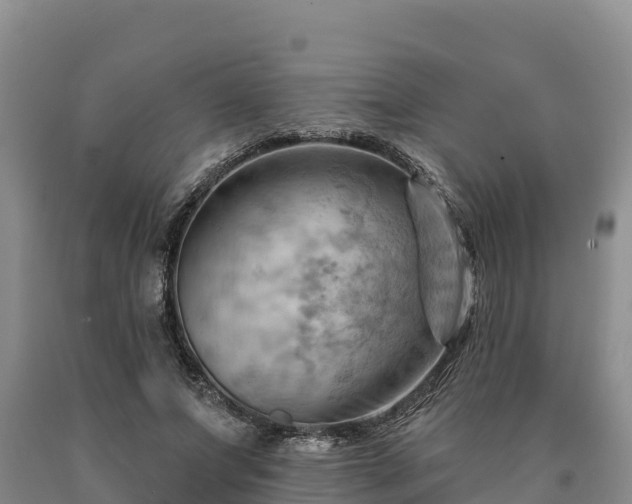 X0000090630687200707241153