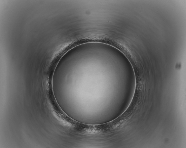 X0000090630688200707241153