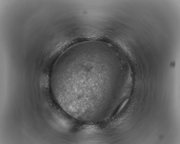 X0000090630689200707241153