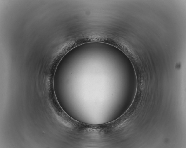 X0000090630690200707241153