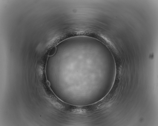 X0000090630691200707241153