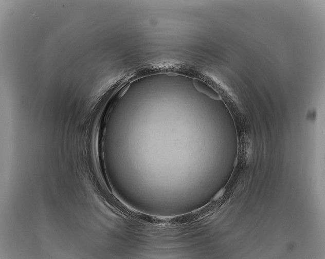 X0000090630692200707241153