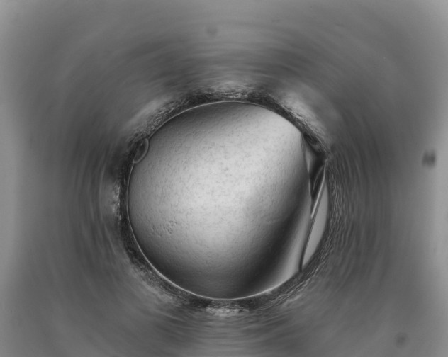 X0000090630693200707241153