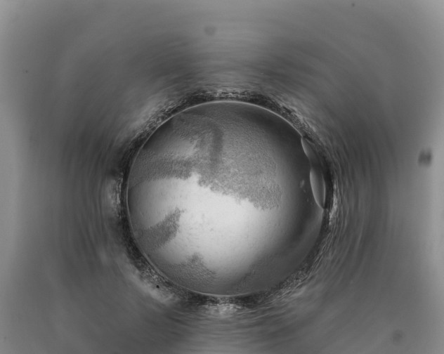 X0000090630695200707241153