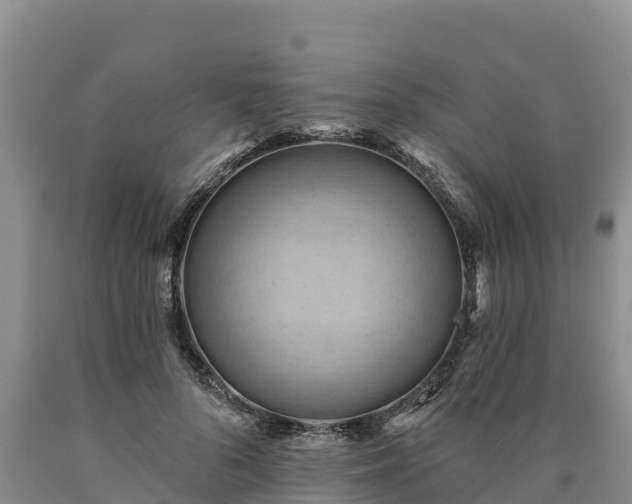 X0000090630696200707241153