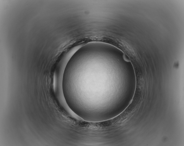 X0000090630697200707241153