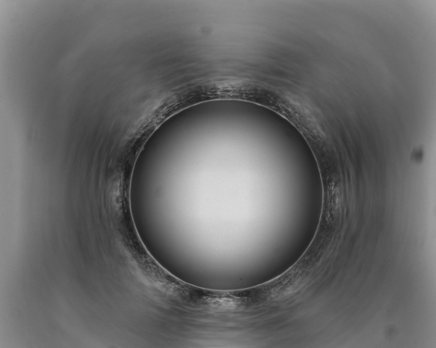 X0000090630698200707241153