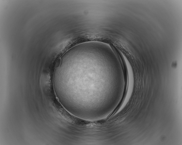 X0000090630700200707241153