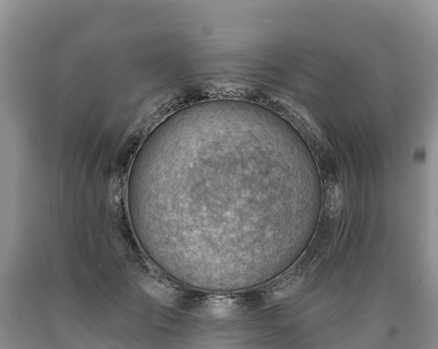 X0000090630701200707241153