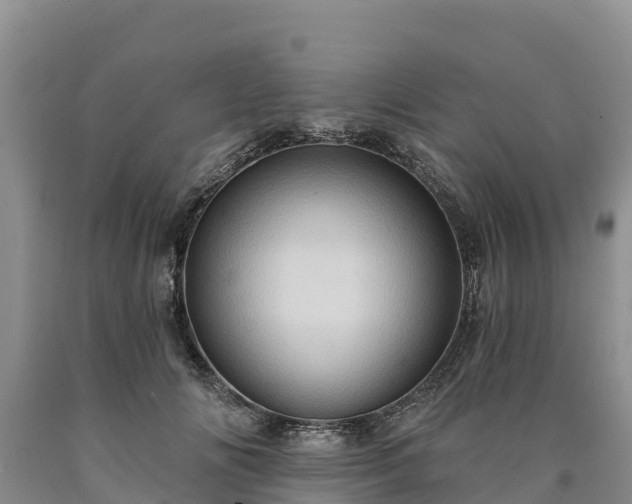 X0000090630702200707241153