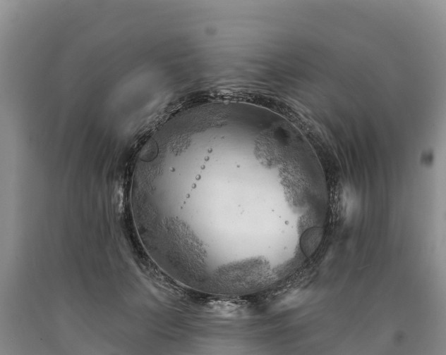 X0000090630703200707241153