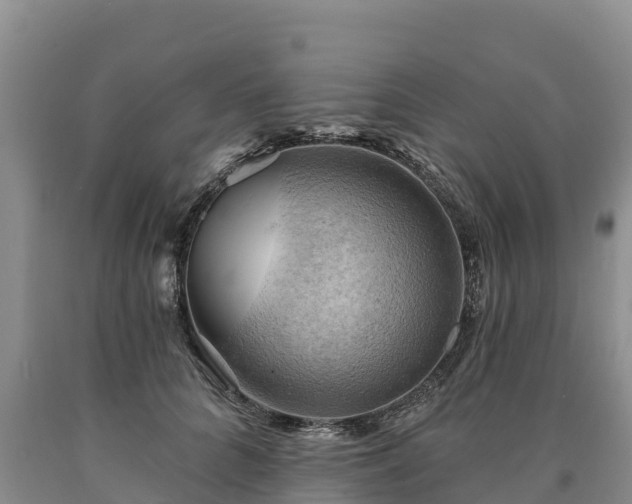 X0000090630704200707241153