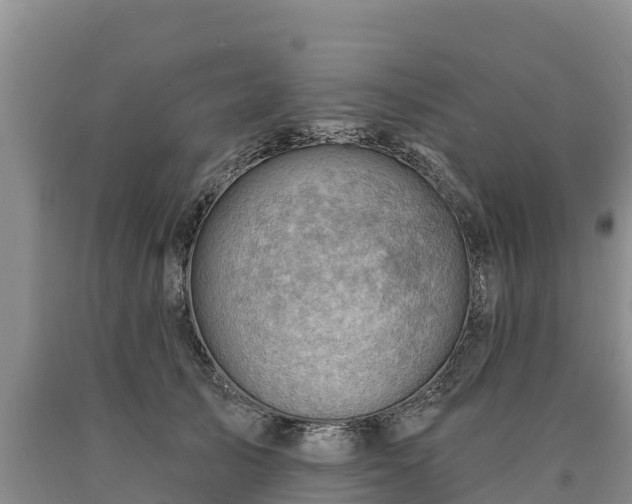 X0000090630705200707241153