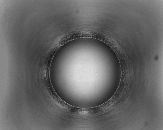 X0000090630706200707241153