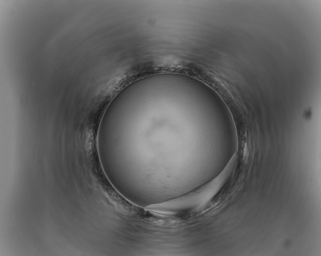 X0000090630708200707241153