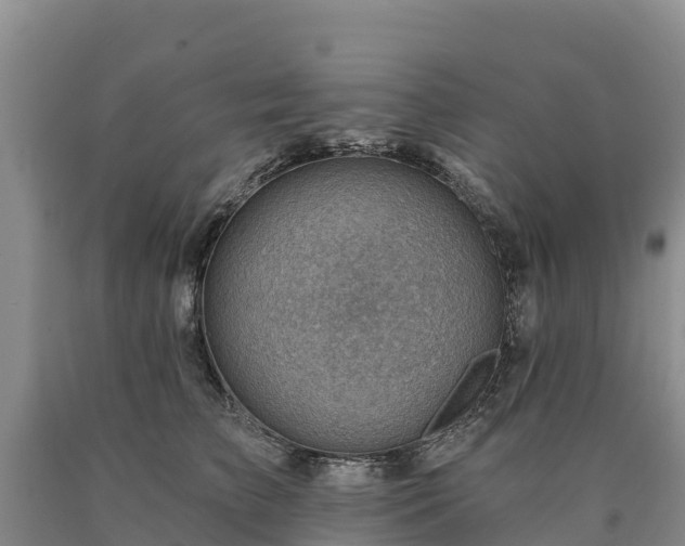 X0000090630709200707241153
