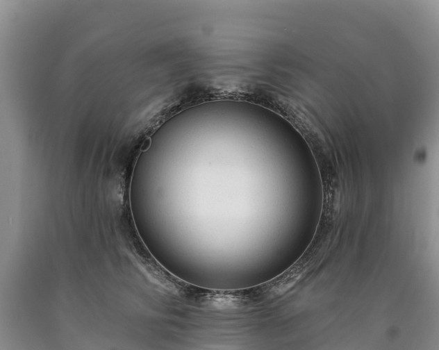 X0000090630710200707241152