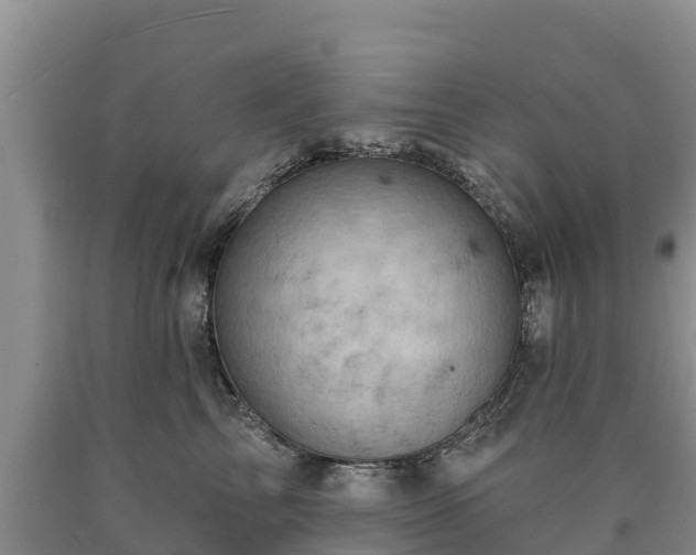 X0000090630713200707241152