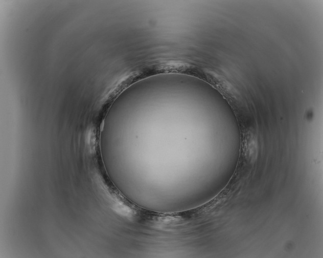 X0000090630716200707241152