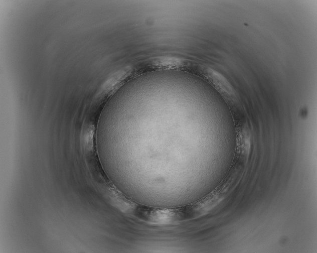 X0000090630717200707241152
