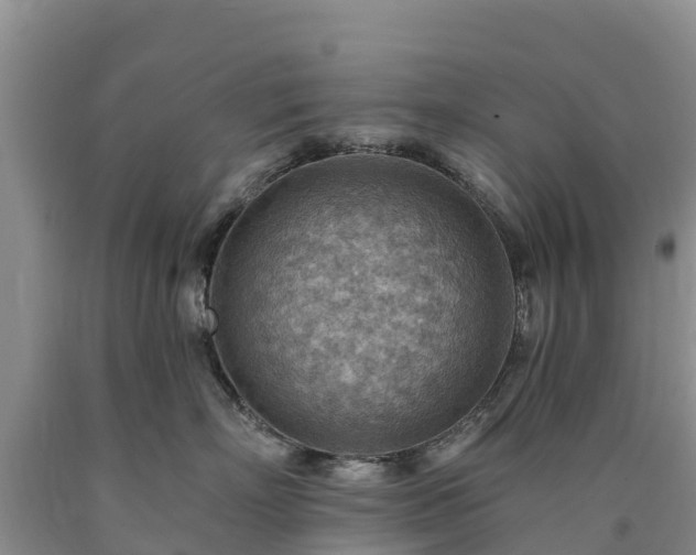 X0000090630718200707241152