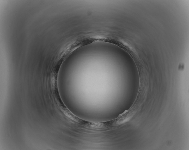 X0000090630720200707241152