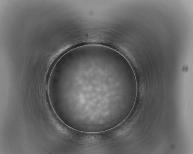 X0000090630721200707241152