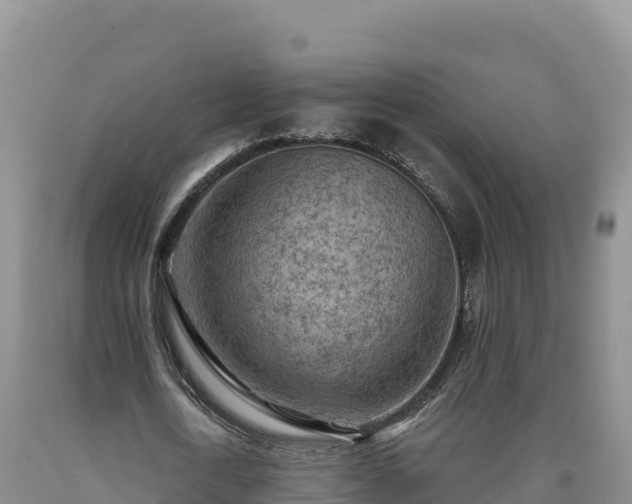 X0000090630722200707241152