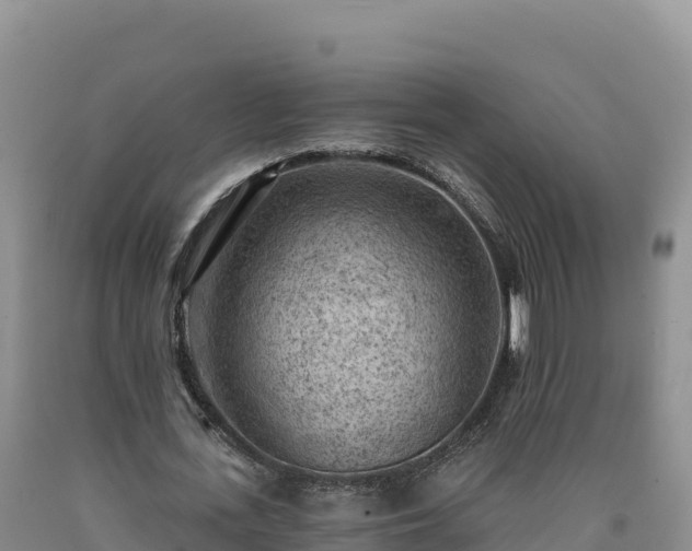 X0000090630723200707241152